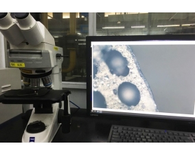 50-500倍光學(xué)顯微鏡